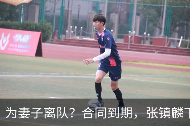 为妻子离队？合同到期，张镇麟下家4选1，广东2队有机会