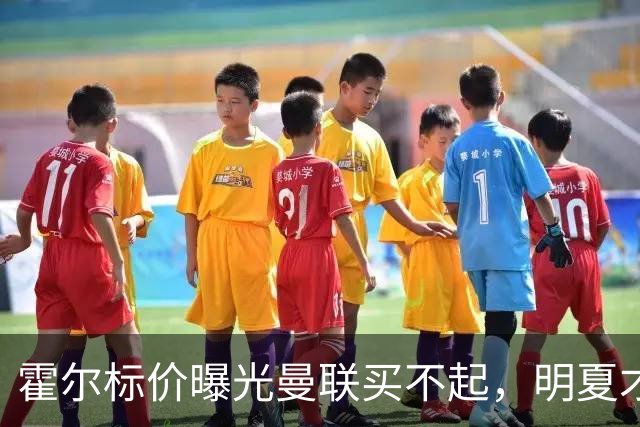 霍尔标价曝光曼联买不起，明夏才补强防线！纽卡若卖托纳利资金充裕