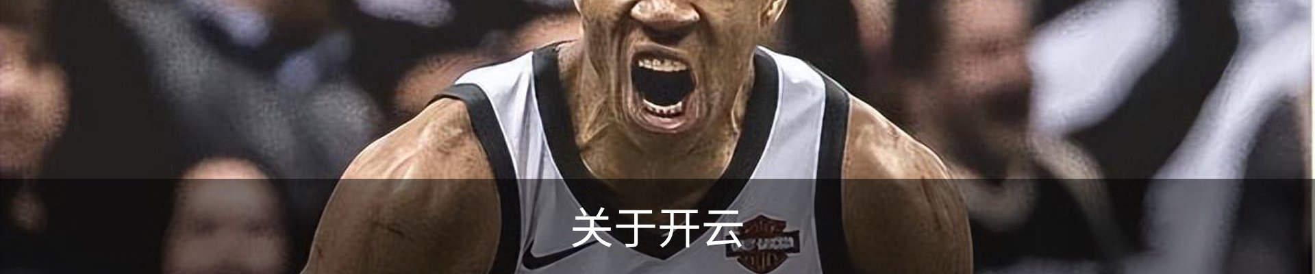 关于开云